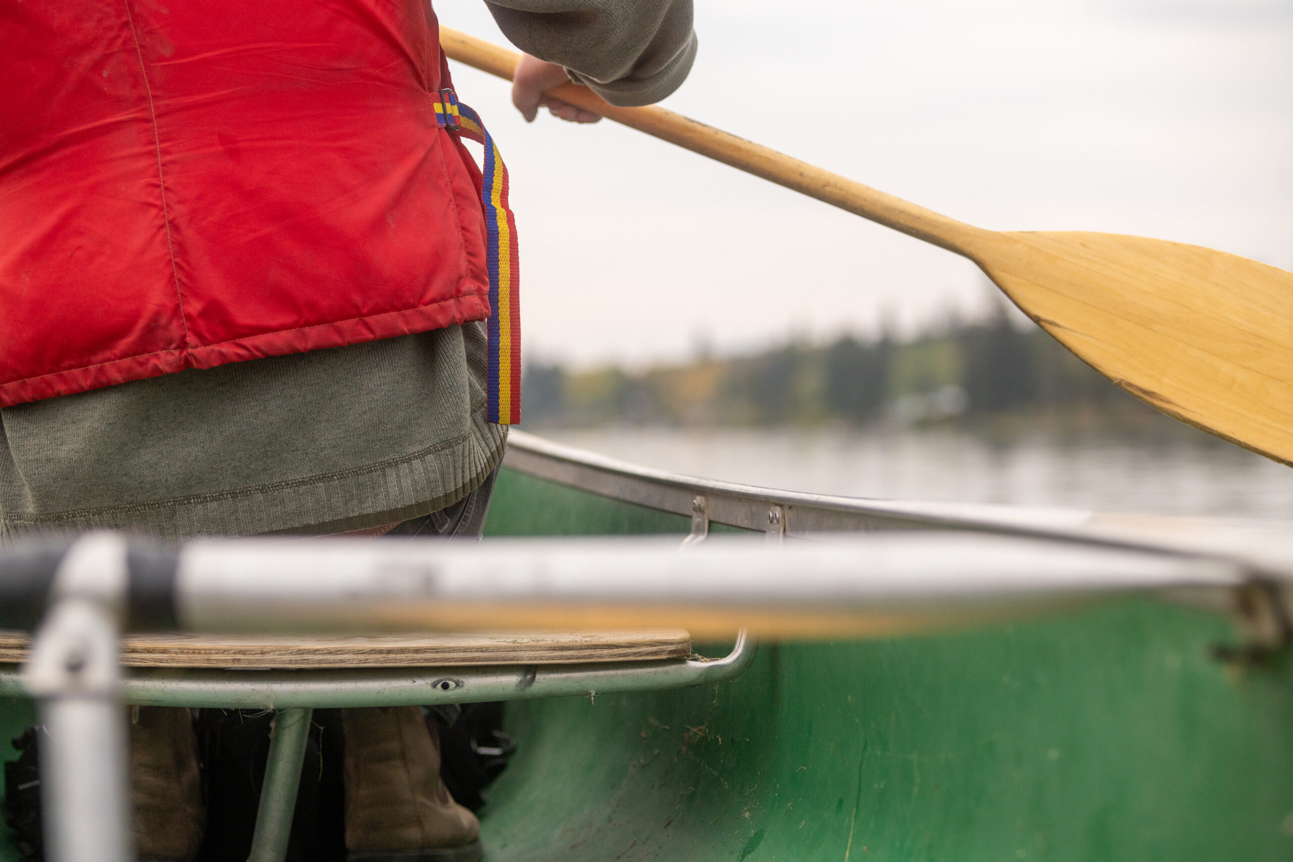 person paddling on canoe